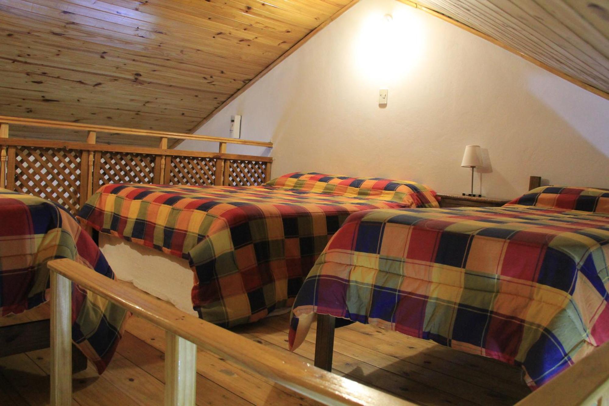 Apart Haiken El Calafate Værelse billede
